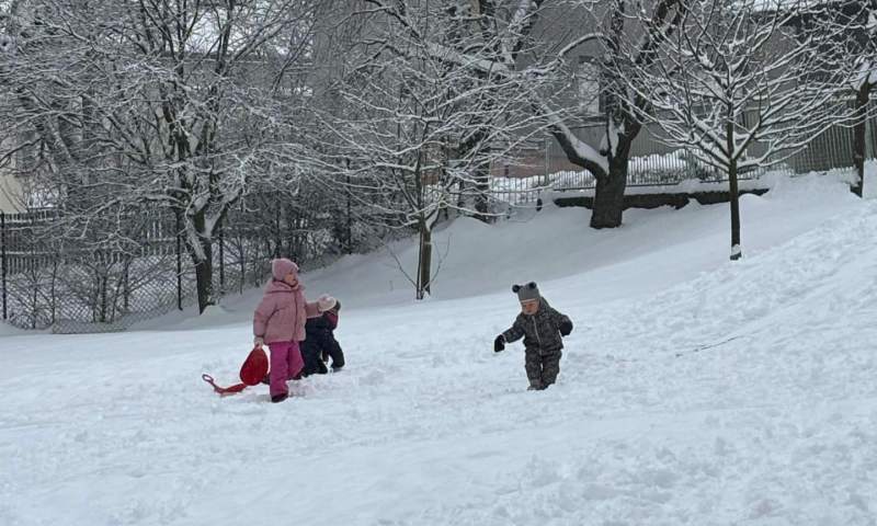 beruškyberušky